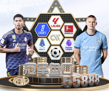 金刚V8Max官方APP